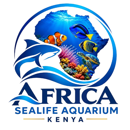 Africa Sealife Aquarium